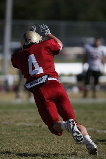 mk体育官方网站-全国青少年跳水锦标赛在深圳火热进行，全国青少年跳水比赛